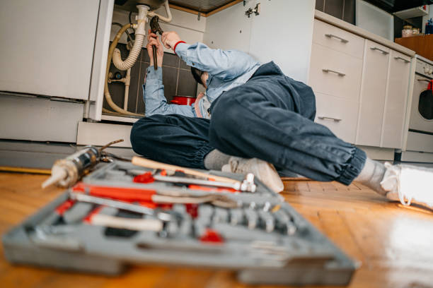  Palos Hls, IL Plumbing Pros