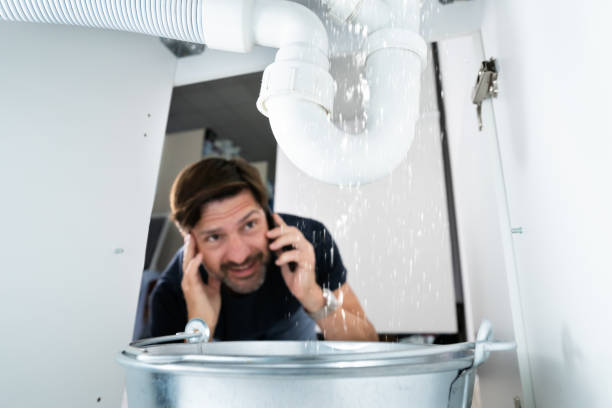 Best Leak Detection Services  in Palos Hls, IL